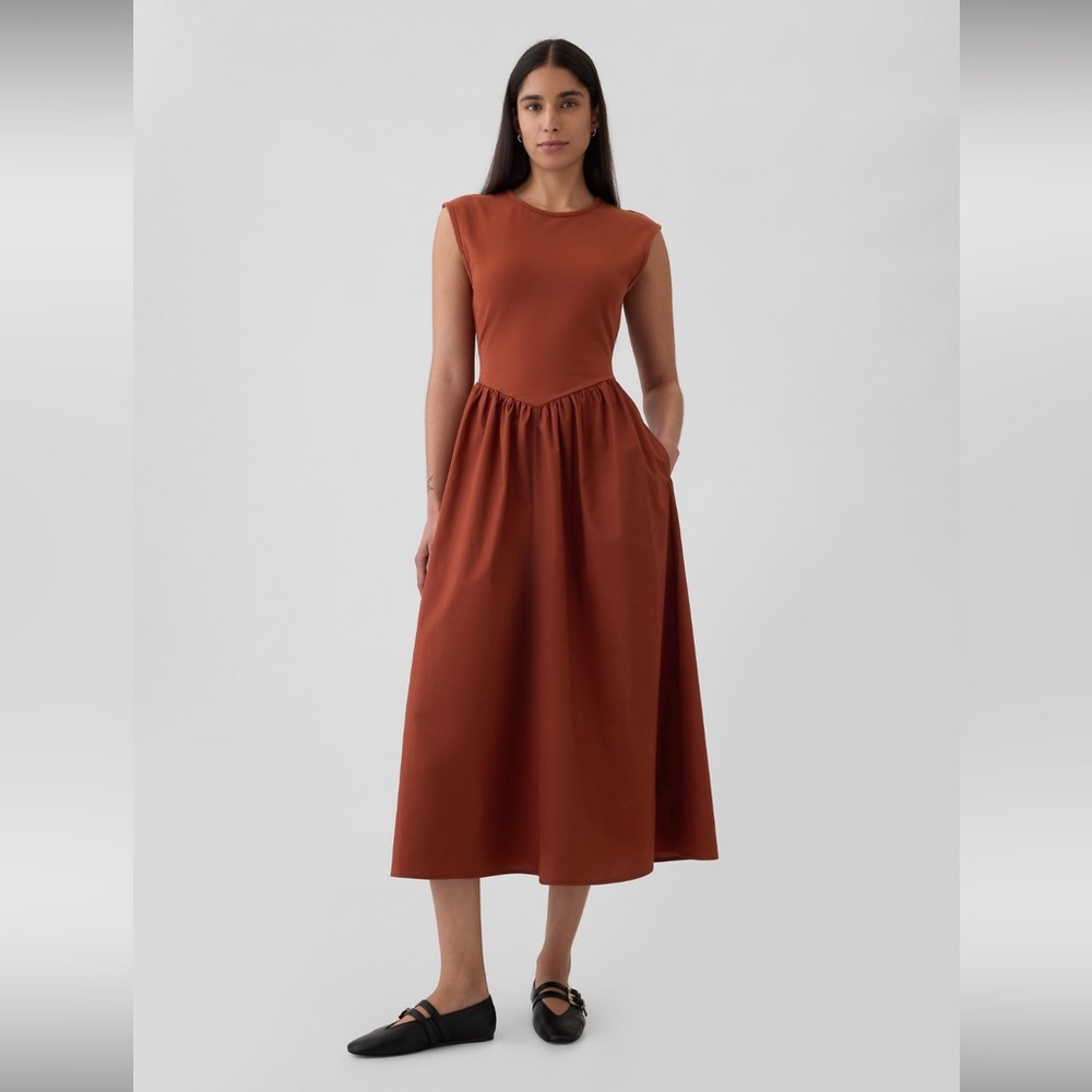NWT Drop-waist Midi Dress